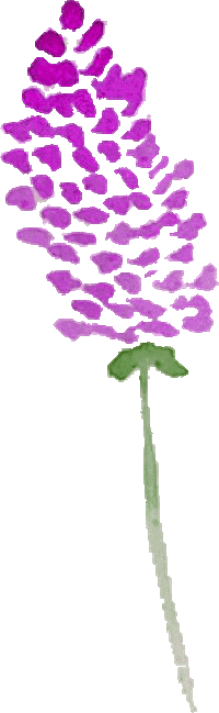 Summer Sticker