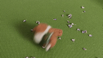 Cria GIF