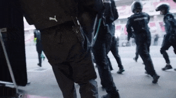 200.gif?cid=fc005b081d05e1ec784efa628891f2c464713f959e85c0d0&rid=200.gif&ct=g