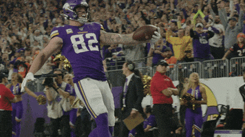 Excited American Football GIF by Minnesota Vikings