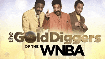 the gold diggers of the wnba GIF by Saturday Night Live