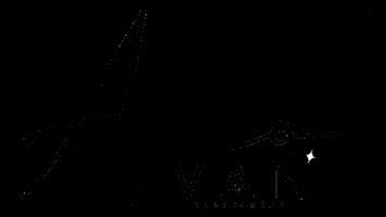 Van Acessórios GIF