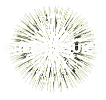 Gj Bonn Sticker by Green Juice Festival