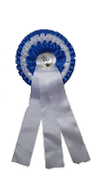 VER-Dinale - Verdener Hallenreitturnier Sticker