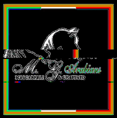 Mgarabians GIF