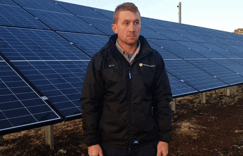 Can Solar Farms Yield Big Profits in 2024?