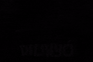 Abszolut GIF by Keddi Kosár