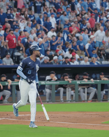 Home Run Celebration GIF by Kansas City Royals