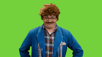carnaval yes GIF by Lamme Frans
