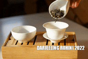 barovnacarovna tea caj darjeeling premiumtea GIF