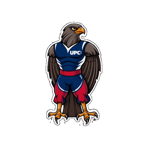 UPCPachuca Sticker