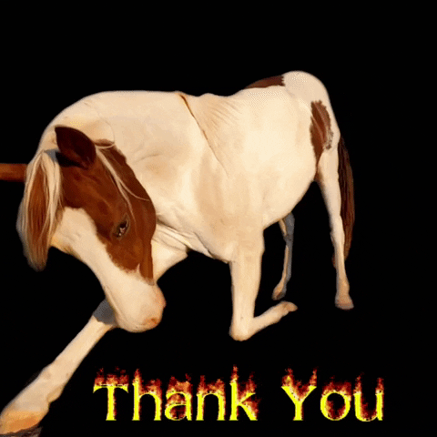 Thanks Thank You GIF by Primapolo Productions