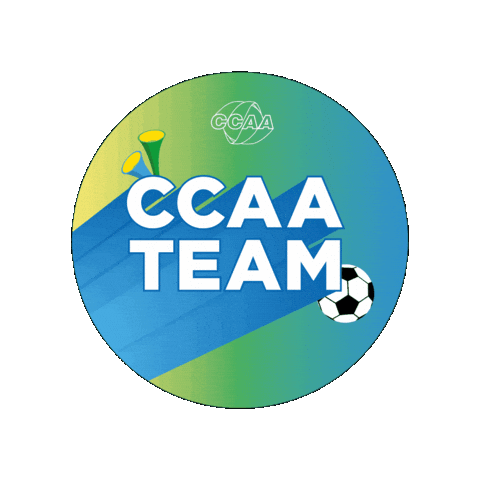 Teamccaa Sticker by ccaa