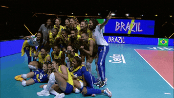 Celebration Smile GIF by Volleyball World