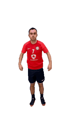 Handball Sticker
