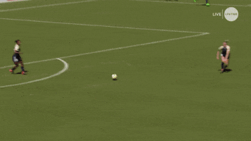 north carolina courage goal GIF by National Women's Soccer League