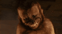 Duende-sonriente GIFs - Get the best GIF on GIPHY