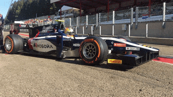 spa-francorchamps racing GIF by Trackside Legends