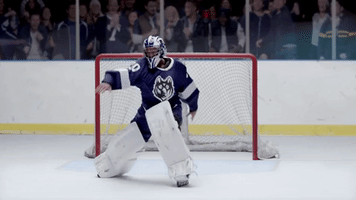 wagnerbrenner  GIF