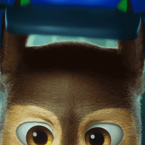 Helmet GIF by Paw Patrol Movies