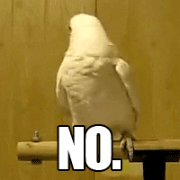 Bird Reaction GIF by Cheezburger - Find & Share on GIPHY