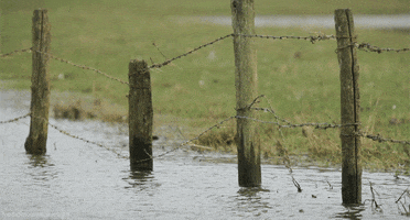 barbed wire water GIF by Head Like an Orange