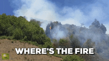 troy  GIF