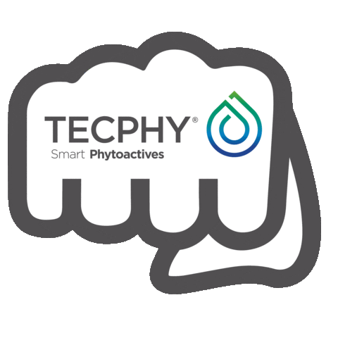 Tecphy Brasil Sticker