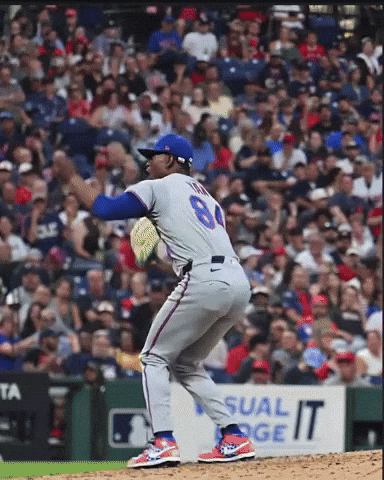 Mets Lfgm GIF