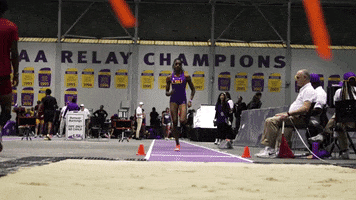 Long Jump Gold GIF by LSU Tigers