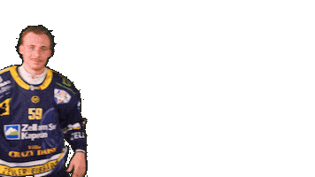 Zellamsee Ekz Sticker by EK Zeller Eisbären