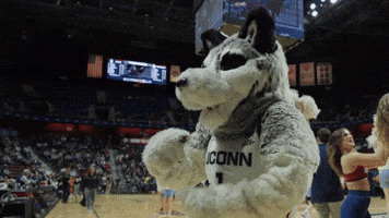 Mascot Huskies GIF by BIG EAST Conference