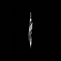 GIF by Anchored Productions