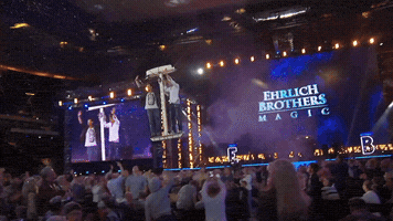 ehrlichbrothers  GIF