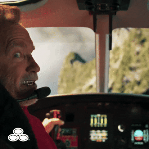 Arnold Schwarzenegger State Farm Commercial GIF by State Farm
