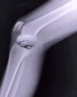 New Year Christmas GIF