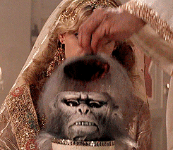 Homer Simpson Monkey Brain Gif