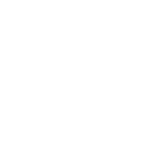 Neuroplan Sticker