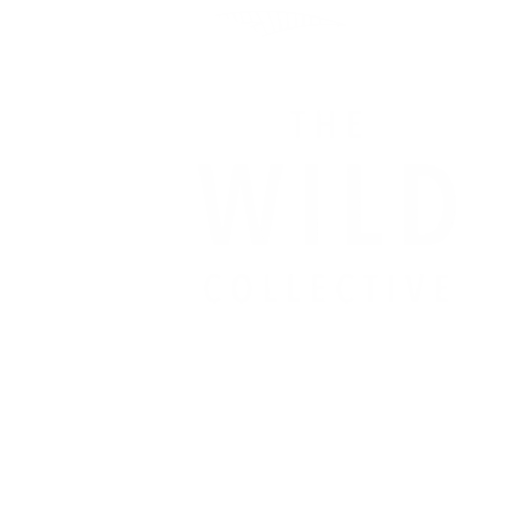 Wild Collective Sticker