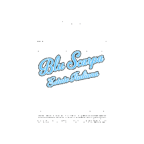 Bluscarpaestateitaliana Sticker by Blu Scarpa