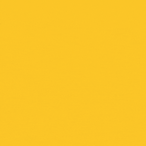 WPC-CampCarey GIF