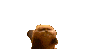 Scared Scream Sticker by Disney Pixar