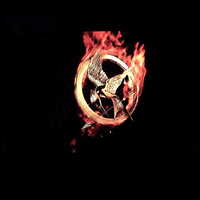 Happy-hunger-games GIFs - Get the best GIF on GIPHY