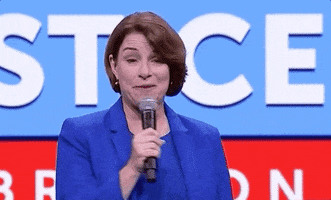 Nancy Pelosi Speech GIF by Election 2020