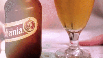 Cerveza GIF