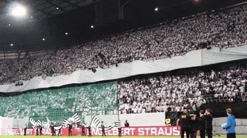 Sturm Graz Fans GIF by SK Sturm