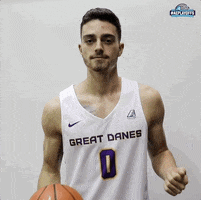 Great Danes Basketball GIF by America East