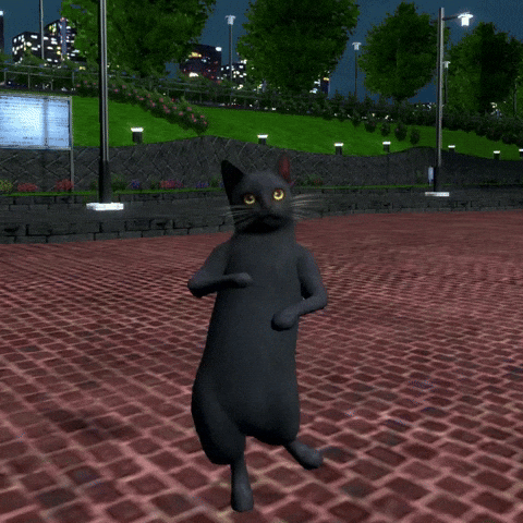 Catdance GIF