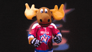 proud celebration GIF by Newcastle Northstars