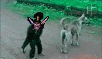 Animated GIF